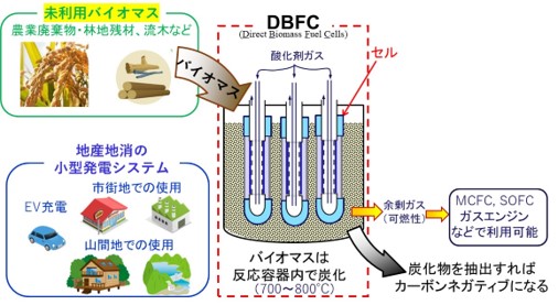 ダイレクトバイオマス燃料電池の開発